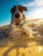 Guía definitiva para elegir la cama para tu bebé