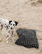 Cómo preparar a tu mascota para la llegada de tu bebé