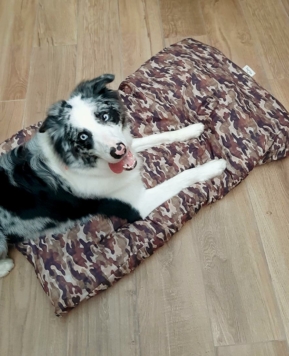 3 camas ideales para regalar a tu perro en Rebajas