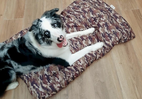 3 camas ideales para regalar a tu perro en Rebajas