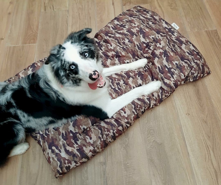 3 camas ideales para regalar a tu perro en Rebajas