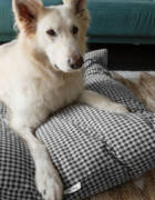 Ventajas e inconvenientes de disfrazar a tu bebé por Carnaval