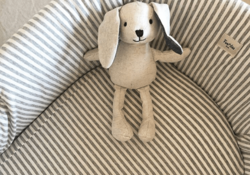 Ventajas del moisés para el bebé