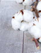 Fun*das bcn viaja a Londres