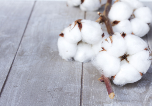 Propiedades del algodón