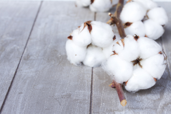 Facts about cotton