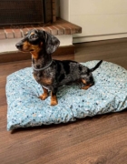 Guía definitiva de regalos de FUN*DAS para recién nacidos