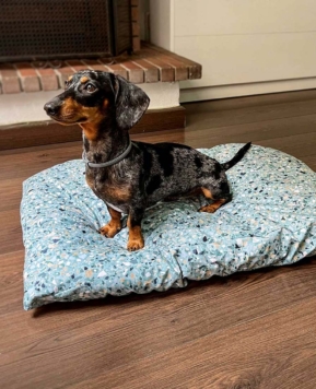 Descuentos Black Friday 2024 para mascotas