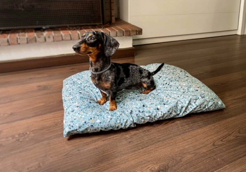 Descuentos Black Friday 2024 para mascotas