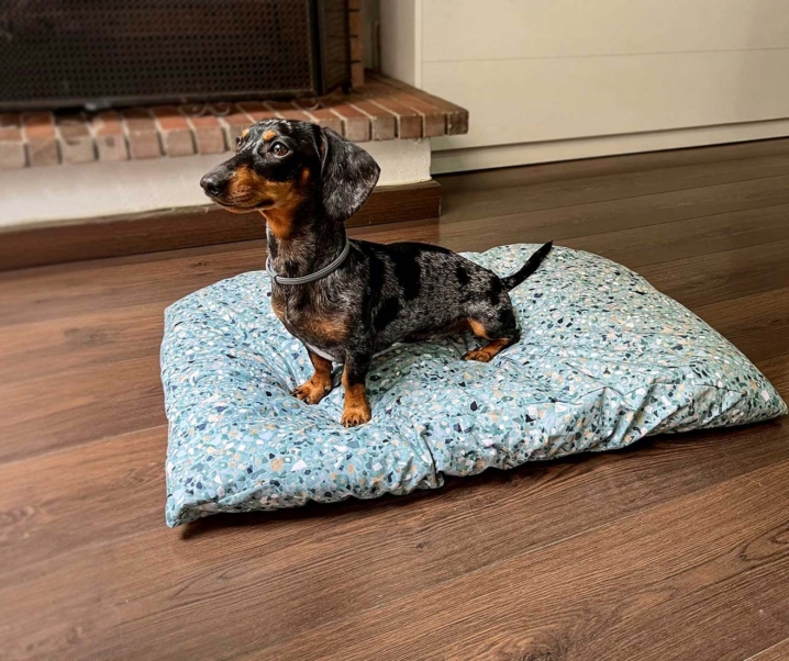 Descuentos Black Friday 2024 para mascotas