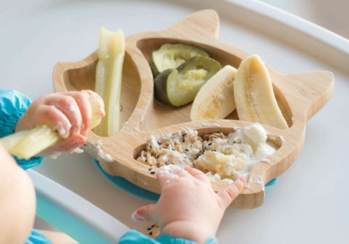 ¿Se puede hacer BLW con triturados?