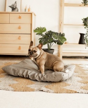 Cómo preparar una camita confortable para tu perra embarazada con Fun*das