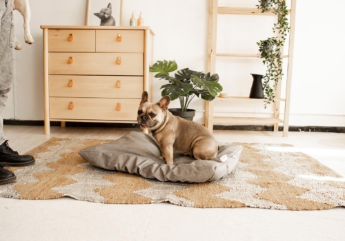 Cómo preparar una camita confortable para tu perra embarazada con Fun*das