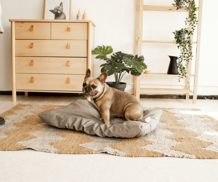 Cómo preparar una camita confortable para tu perra embarazada con Fun*das