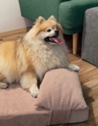 7 motivos para usar una funda en la silla del coche