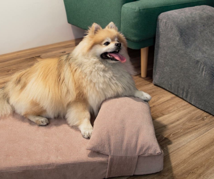 Descubre la comodidad inigualable de la cama de pana con almohada para tu amigo peludo