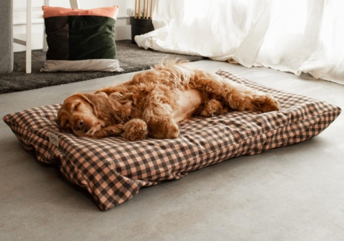 La cama de verano para perros definitiva