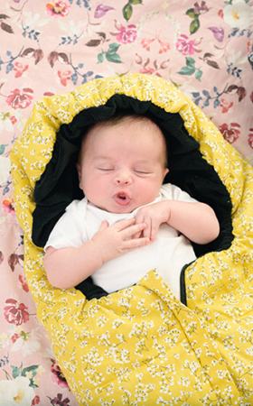 New Winter 2020 Collection