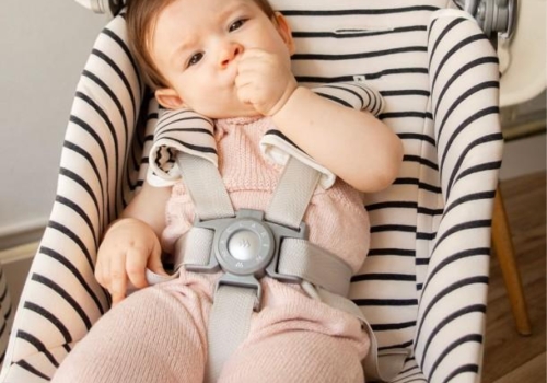 Personalizando el carrito de tu Bebé: Fundas y Sacos para cada estilo