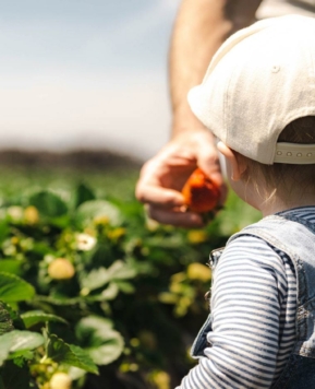 ¿Cómo puedes estimular el sentido del olfato de tu bebé?