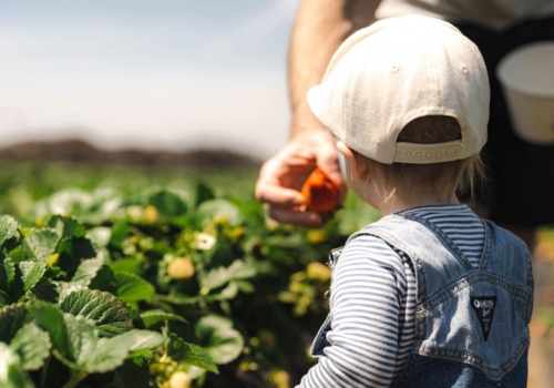¿Cómo puedes estimular el sentido del olfato de tu bebé?