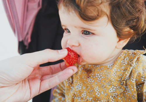 Cómo alimentar correctamente a tu bebé