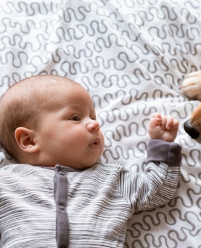 Cómo preparar a tu mascota para la llegada de tu bebé