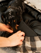 6 ideas para celebrar Halloween en familia