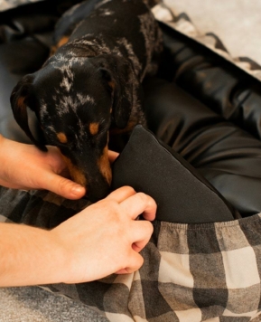 ¿Cómo y Cuándo Lavar la Funda de la Cama de Tu Perro?