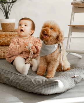 6 consejos de convivencia entre tu bebé y tu mascota