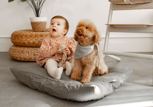 6 consejos de convivencia entre tu bebé y tu mascota