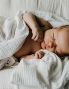 7 razones por las que necesitas una cama de perro con funda impermeable💧