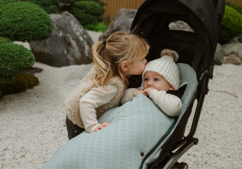 ¿Cuándo debo pasar al bebé del capazo a la silla de paseo?