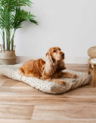 Las mejores camas de diseño para tu amigo peludo