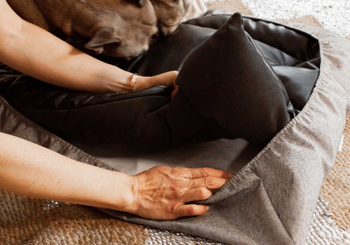 ¿Cómo mantener tu funda siempre impecable?