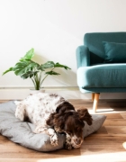 Tipos de masajes para relajar a tu bebé