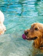 5 consejos para elegir ropa de cama para la familia