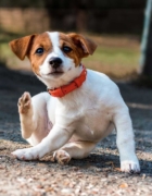 La quincena del bebé en FUN*DAS:  descuentos y promociones especiales