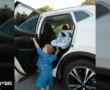 Viajar con un bebé y un perro en coche: cómo hacerlo de forma segura