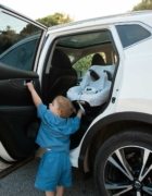 Viajar con un bebé y un perro en coche: cómo hacerlo de forma segura