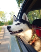 ¿Qué actividades hacer con tu bebé en primavera?