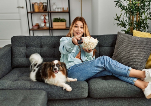 Las 6 Mejores Películas de la Historia para Ver con Tu Perro