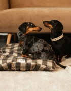 Cómo proteger la silla del coche del bebé