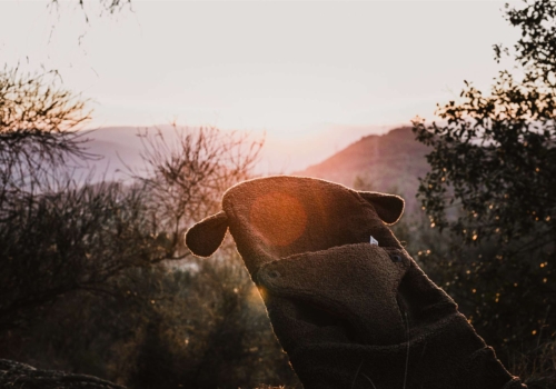 Fun*das BCN ofrece moda vegana en productos para bebés
