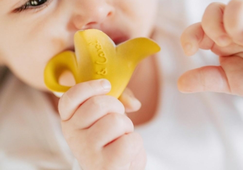 Los juguetes ecológicos de Oli&Carol llegan a Fundas BCN