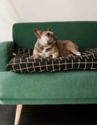 Mejores ofertas Black Friday para tu bebé