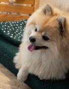 Los valores de Fun*das BCN: reuso & reciclo