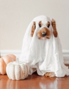 10 accesorios clave de invierno para tus hijos