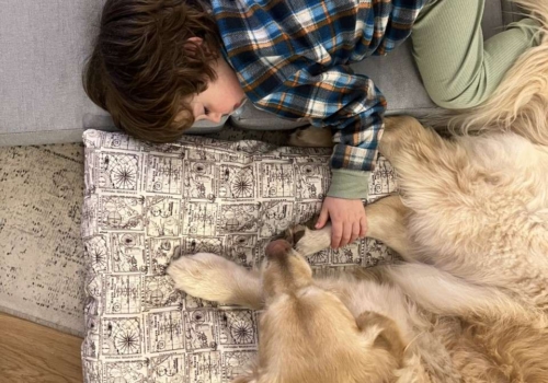 Los 21 beneficios más TOP de tener una mascota en una casa con niños