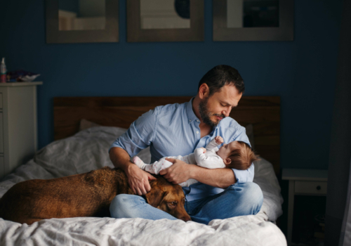 Cómo preparar la llegada del bebé con una mascota